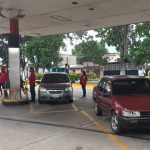 Más del mil hectáreas de maíz amarillo sembrarán productores del Táchira