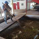 Plan Navideño Brilla La Paz: Adorna Plaza Sucre de San Cristóbal