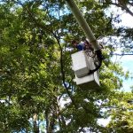 Detenido por abuso sexual y actos lascivos en La Tinta