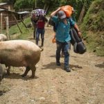Limpian calzada en los tramos de la Troncal 05