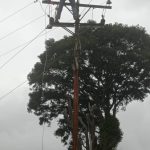 Detenido por Politáchira un presunto militar en Táriba