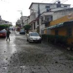 Metropolitano de béisbol espera por partidos de la LVBP
