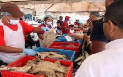 Más de 100 toneladas de pescado serán distribuidas en Táchira