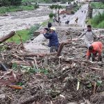 En Táchira más de 750 mil animales serán vacunados contra la fiebre aftosa