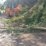 Corposalud activa plan de Control de Vectores ante las intensas lluvias