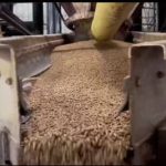 Táchira: PSUV afina detalles para postular estructuras parroquiales, municipales y estadal