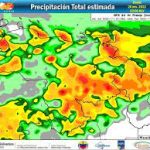 Más de 300 obras se disputaron el galardón