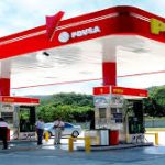 Más de 700 niños participan en la Copa Mundial Infantil 2022 en San Cristóbal