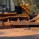 Resultados positivos refleja el Insai con la vacunación contra la fiebre aftosa