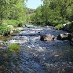 Venezuela establece alianza con Colombia en área de hemoderivados