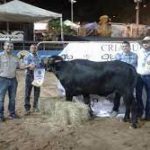 GNB capturó a dos sujetos que transportaban explosivos e insumos para fabricar municiones