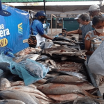 UBV Táchira convoca inscripciones a nuevos ingresos de pre grado y post grado