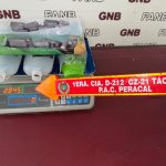 Familias tachirenses beneficiadas con programa de implante coclear