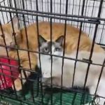 Mejoró efectividad de recepción de Unidades de Transporte de Combustible