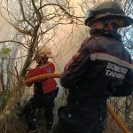 Gobernador Freddy Bernal: Hemos rescatado la Feria Internacional de San Sebastián