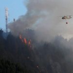 Media Maratón Internacional 2024 desarrollará competencias de 21 K y 10 k este fin de semana