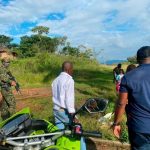Sembrarán 4 mil árboles policromáticos en San Cristóbal