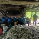 Paso intermitente en vialidad de la zona norte Troncal Uno