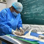 San Cristóbal sede del Expo fitness Los Andes 2024