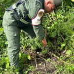 Gobernación del Táchira transforma espacios del sector Quinimarí