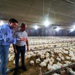 Fuego Patrio llegará al Táchira para iluminar el camino de nuestros atletas