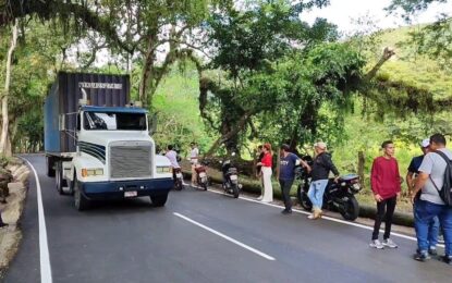 Rehabilitan 9 kilómetros de vialidad  en carretera Santa Ana – La Petrolea de Córdoba