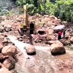Jornada de vacunación para mascotas