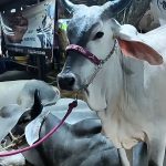 Nuncio apostólico de El Vaticano en Japón visitó el Táchira