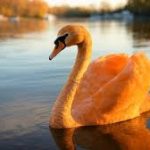 Unión perfecta entre Gobierno y Poder Popular permitió la rehabilitación de la Escuela Bustamante