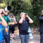 Restablecido paso vehicular en la Troncal 05 tras sustitución de alcantarilla