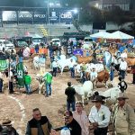 Avanza plan para lograr la certificación de Venezuela libre de fiebre aftosa