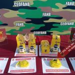 Invitan a participar en la Consulta Popular para fortalecer los gobiernos locales