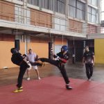 Incautan 380 kilos de marihuana en una empresa de encomiendas