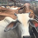 Gobierno Nacional, Regional y Municipal trabajan en conjunto para solventar problemática en San Judas Tadeo