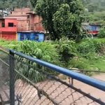 Gala de Honor: Táchira rinde homenaje a la trayectoria de la maestra Nancy Parra